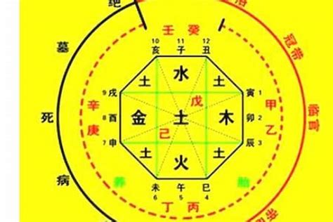 八字 五行|生辰八字算命、五行喜用神查询（免费测算）